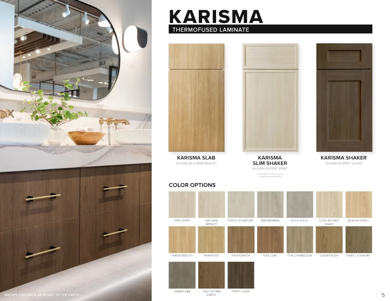 ENVii Cabinetry Brochure Page 5