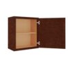 Wall Cabinet 21" x 24"
