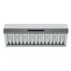Forno Palazzo 48-Inch Wall Mounted Range Hood
