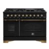 Forno Antico 48-Inch Dual Fuel Range