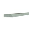 Craftsman Lily Green Shaker Scribe Molding 96"