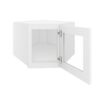White Shaker Elite Wall Diagonal Beveled Glass Door with Finished Interior